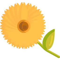 Calendula
