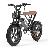 Bicyclette Électrique Ecoride